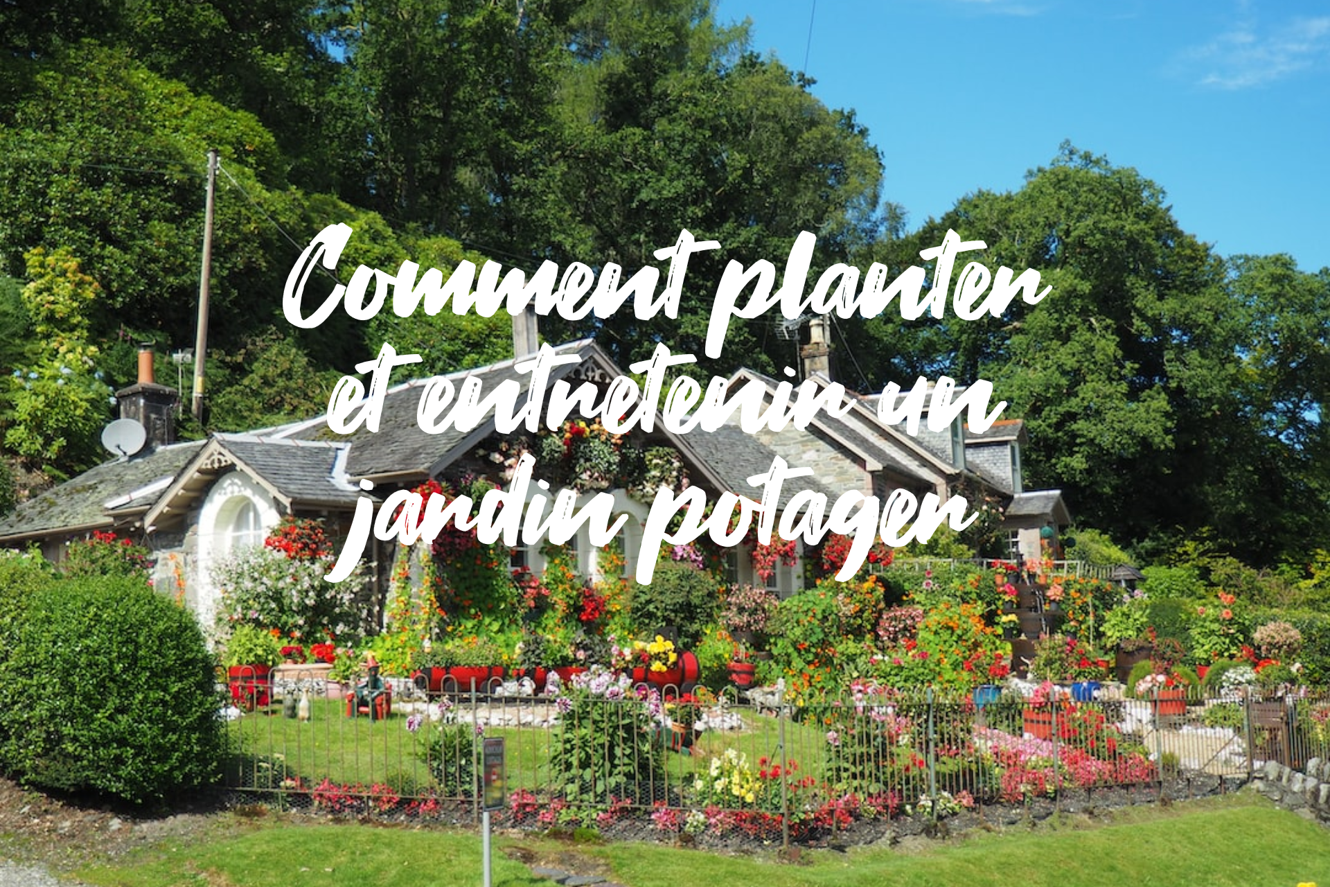 You are currently viewing Comment planter et entretenir un jardin potager